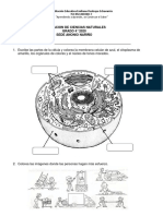 Evaluación de Ciencias Grado 4° PDF