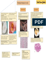 22. Patologìa de ovario benigna .pdf