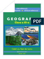 GEOGRAFIE - Clasa A XI-a Caiet Cu Fise D PDF