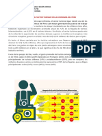 Efecto Del Sector Turismo en La Economia Del Perú