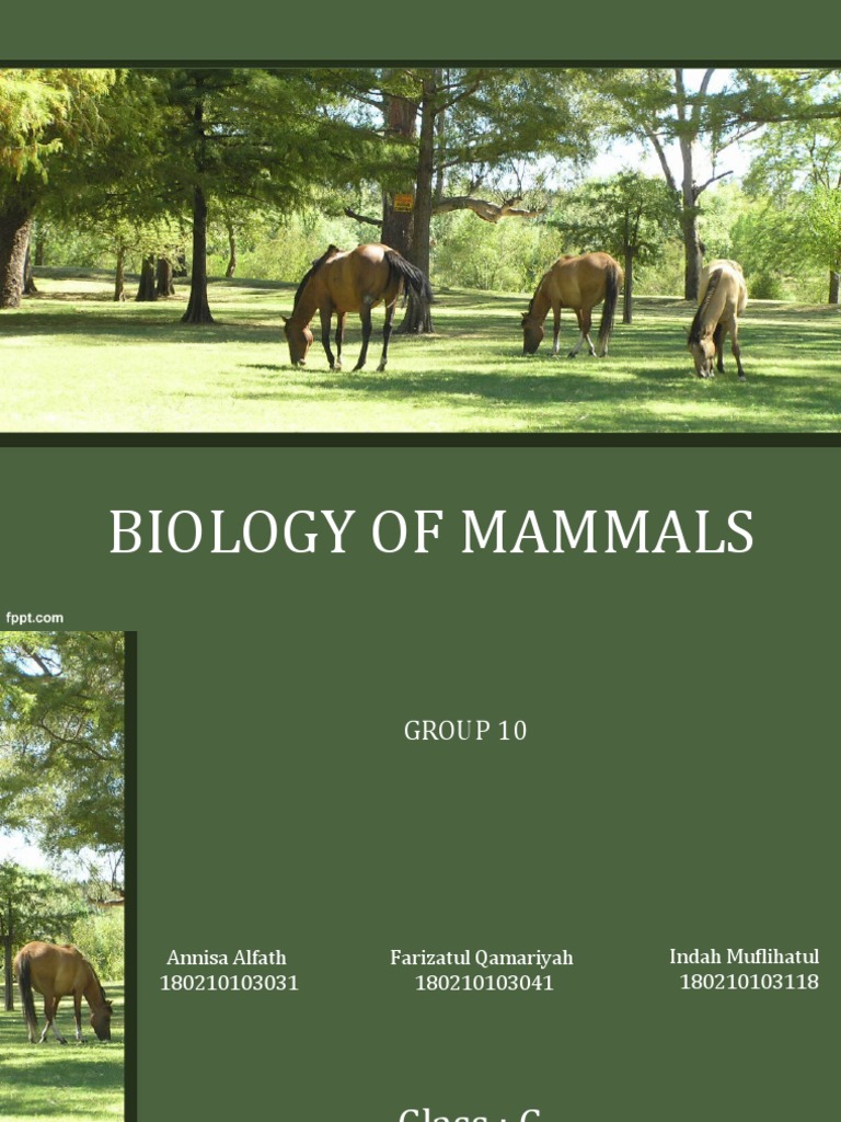 Overview of Mammalian Biology | PDF | Respiratory System | Egg