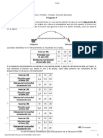 Prueba 1 PDF