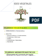 Pres. Tejidos Vegetales PDF