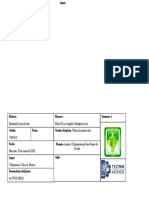 Formato Pie de Plano