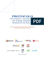 Protocolo PETIB