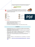 Practica Nº 1- computación