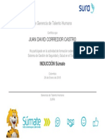 CertificateOfCompletion PDF