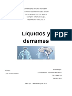 Analisis Liquidos y Derrames