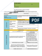 Formato 3 - Medio Ambiente