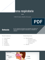 Sistema respiratorio.pdf