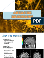 Reasdebrodman 161014035845 PDF