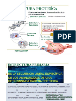 Tema 2-Proteínas PDF