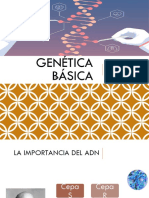 Genetica 2