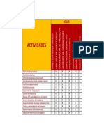 Matriz RACI - Proyecto DHL