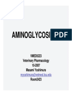 PHARM Yoshimura Aminoglycosides PDF