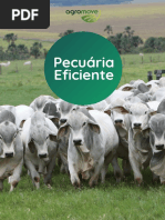 Pecuária Eficiente - E-Book.pdf