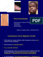 NematodosTisulares2019 PDF