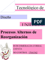 Actividades Complementarias Unidad 3 Diseño Organizacional