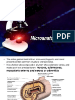 Microanatomy of GIT 1