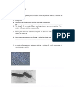 Actividades Biología - Clase 2