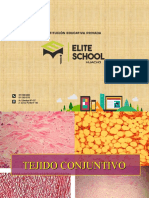 Histología II - Tejido Conjuntivo