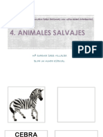 4 Animales Salvajes