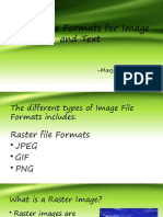 Online File Formats For Image and Text: - Marjorie A. Mataro