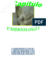 Atlas Embriología Practica 1