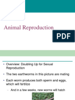 46 Animal Reproduction