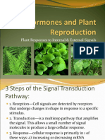 Plant Hormones and Plant Reproduction