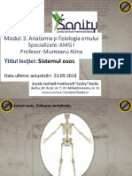 curs_4_anatomie.pdf