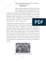 Ponencia Conesarq - Sistemas de Enterramiento y Urnas Funerarias en Chak Pet, Tamaulipas