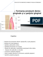 Formarea joncţiunii dentogingivale şi a şanţului gingival