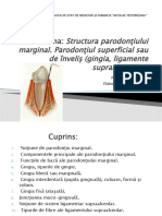 Structura Parodonţiului Marginal.