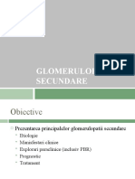 Glomerulopatiile Secundare