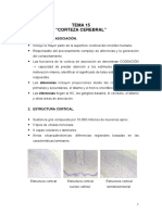 4646425-TEMA-15-Corteza-Cerebral.pdf