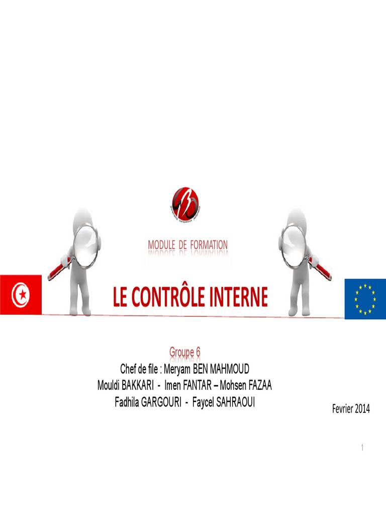 Contrôle Interne Pdf Pdf Contrôle Interne Risque