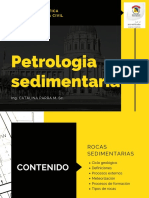 Petroligia Sedimentaria PDF