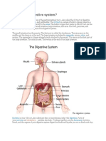What Is The Digestive System?: Liver Pancreas GI Tract Anus Esophagus