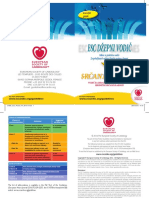 Vodič Za Dijagnozu I Tretman Akutne I Hronične Srčane Slabosti - Naslovna PDF