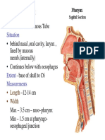 H & N - Pharynx& Deglutition PDF