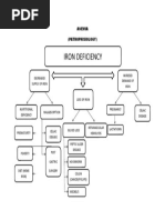 Anemia Pathophysiology