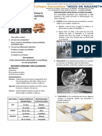 Hoja de Informe CT