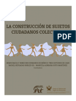 Alianza Cívica - La Construcción de Sujetos Ciudadanos Colectivos PDF
