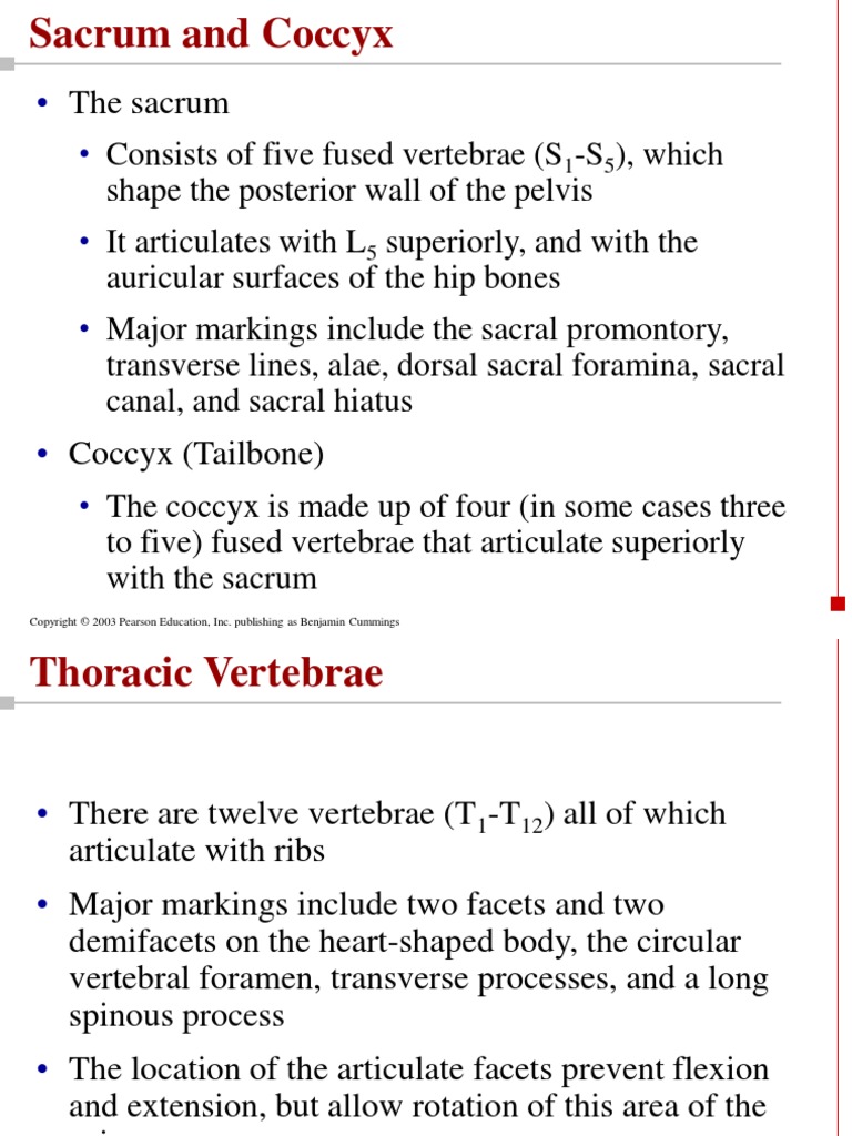Sacrum intelligence overview