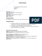 Documents - Tips - Proiect Lectie Riscul in Afaceri