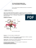 Цвет и соцветија PDF