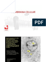 Membrana Celular y Sistema Endomembranoso PDF