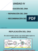Estructura Delgenoma