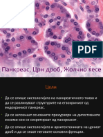 2 pancreas liver gallbladder мк
